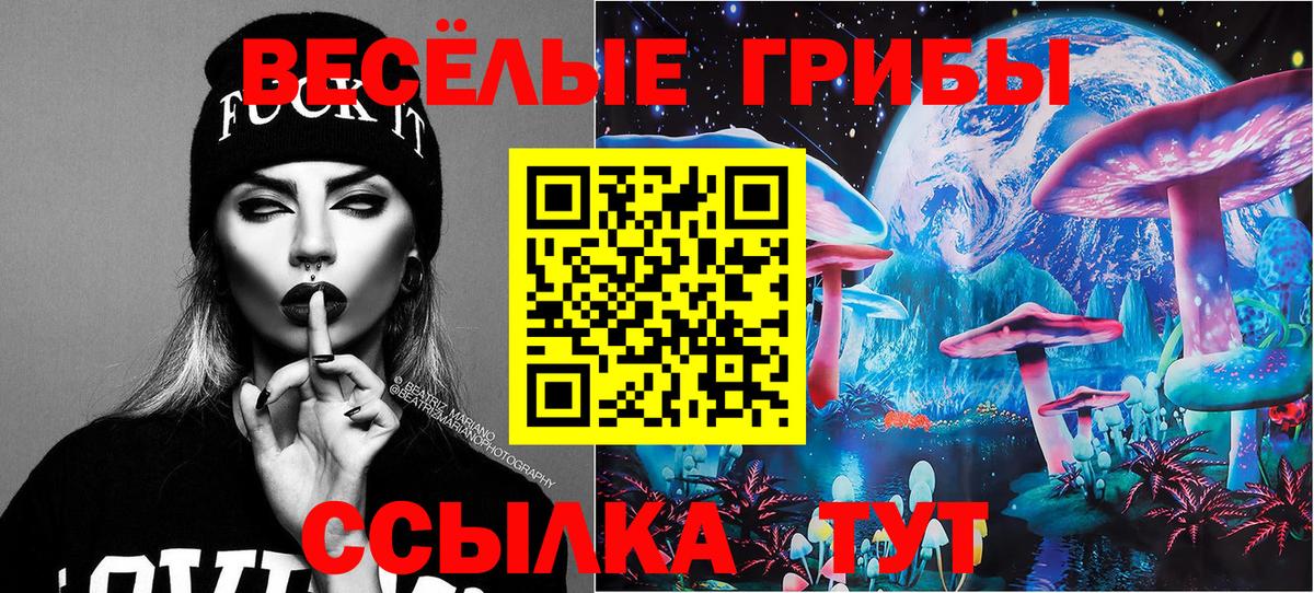 Псилоцибиновые грибы GOLDEN TEACHER  Галлюциногенные грибы Magic Shrooms  Касимов  Вход с VPN 
